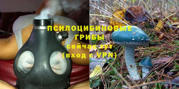 сатива Алексин