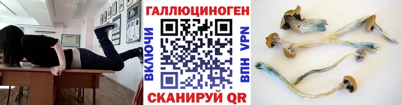 Псилоцибиновые грибы ЛСД Железногорск-Илимский